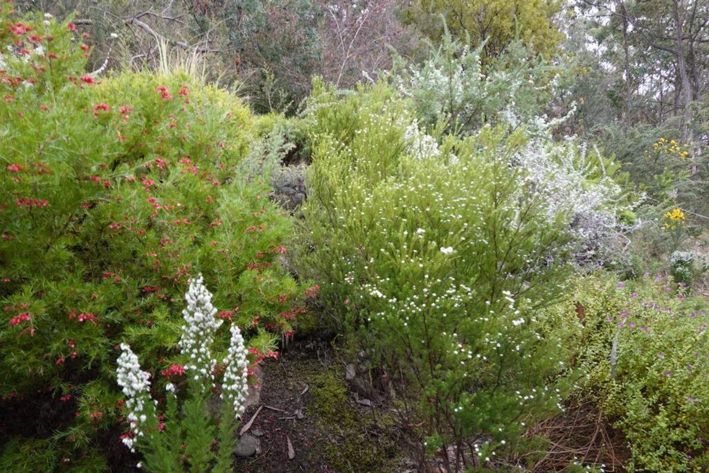 High View House - Views Over Pirates Bay * Eaglehawk Neck