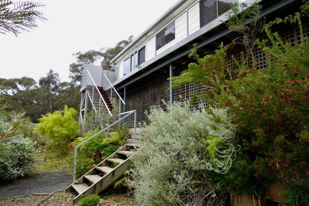 High View House - Views Over Pirates Bay Holiday home Eaglehawk Neck