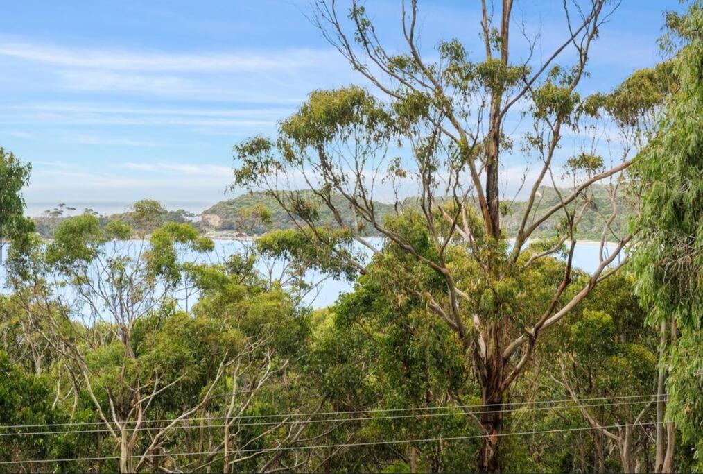 High View House - Views Over Pirates Bay Holiday home *